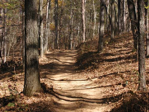 Alabama ATV Trails
