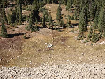 Colorado Jeep Crash