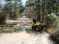 Bankhead ATV trail