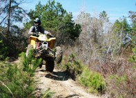 Alabama dirt bike