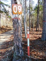 Bankhead ATV trail