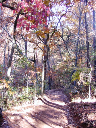 Manooka Park ATV