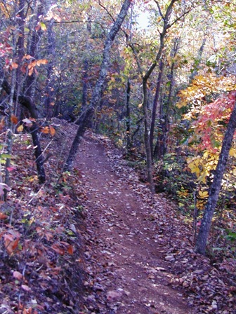 Manooka Park Dirt Bike