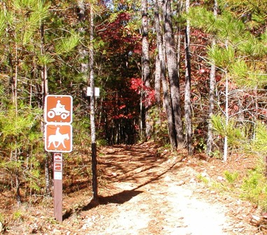 Chattahoochee National Forest ATV