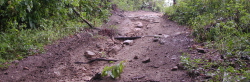 Alamaba ATV Trail