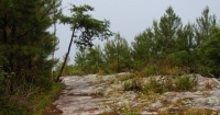 Ridge ATV Trail
