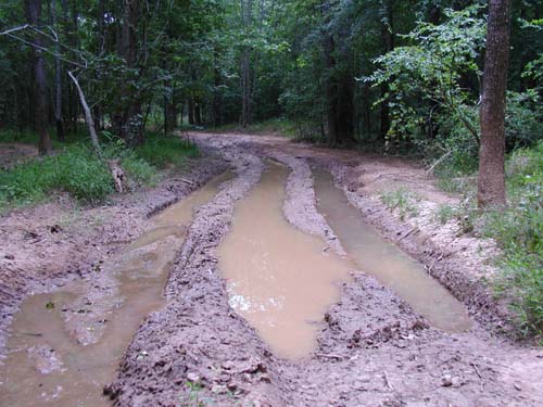 Broad River Trail