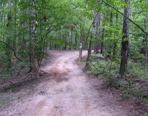 ATV trails