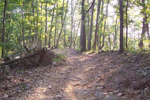 Houston Valley ATV Trail