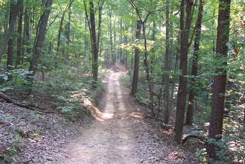 Houston Valley Dirt bike trail