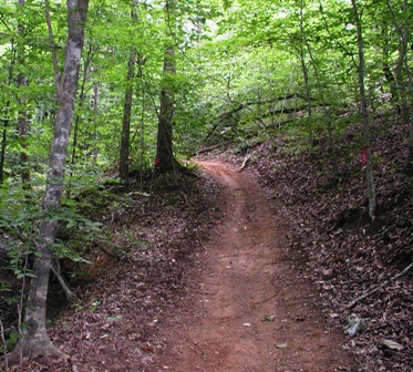 Mountain ATV Trails