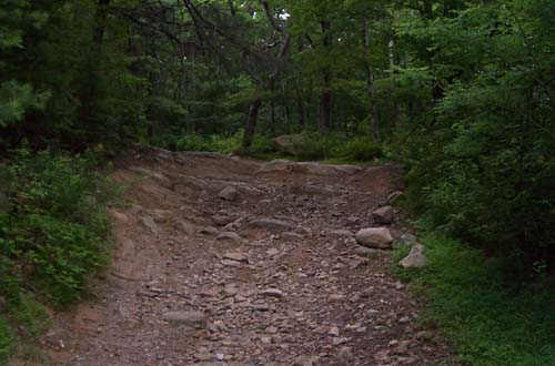 Milma Creek / Tibbs Dirt bike trail