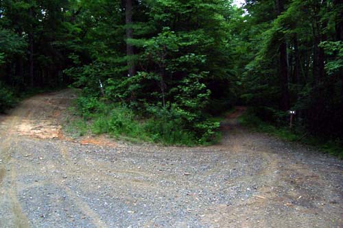 Milma Creek / Tibbs dirtbike trail