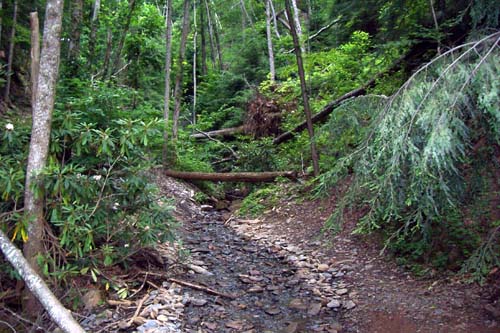 ATV trails