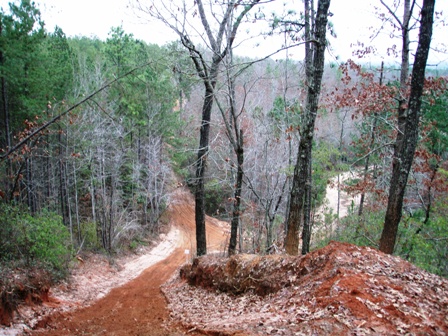 Sunny Side Dirt Bike