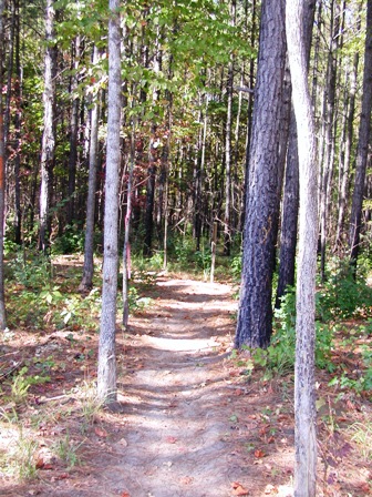 Oconee National Forest ATV