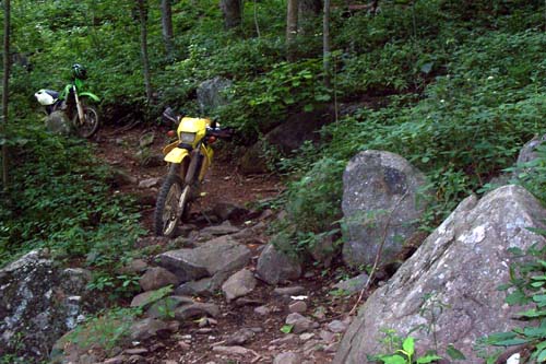 Windy Gap Trail