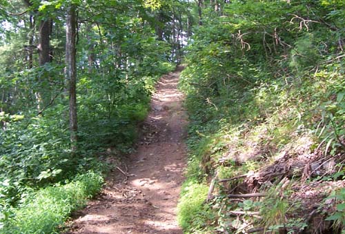 Windy Gap dirtbike trail