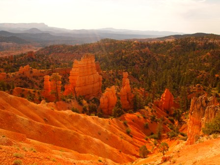 Bryce Canyon ATV Trails Utah