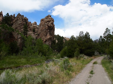 Dixie National Forest ATV