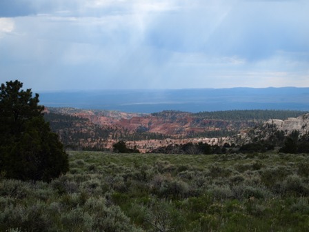 Dixie National Forest casto canyon