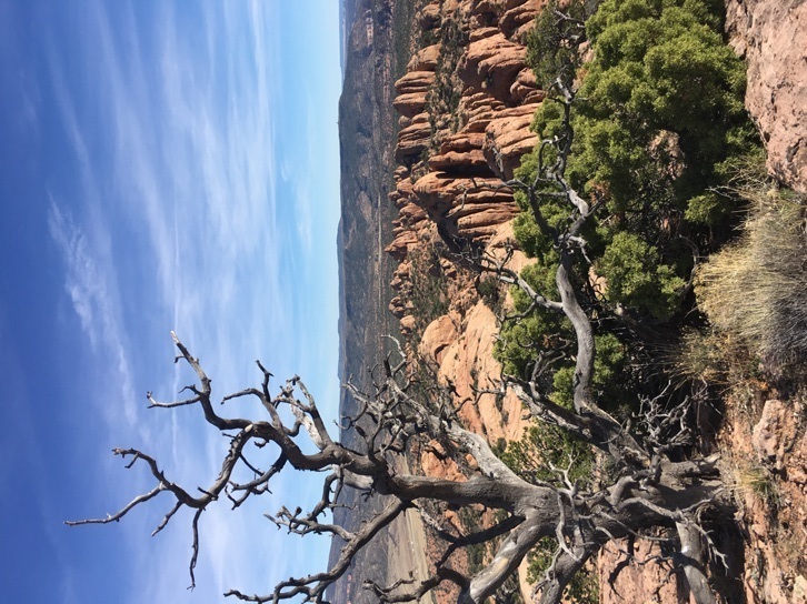 Moab Rim Trail