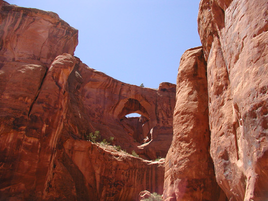 Access Gemini Bridge from below