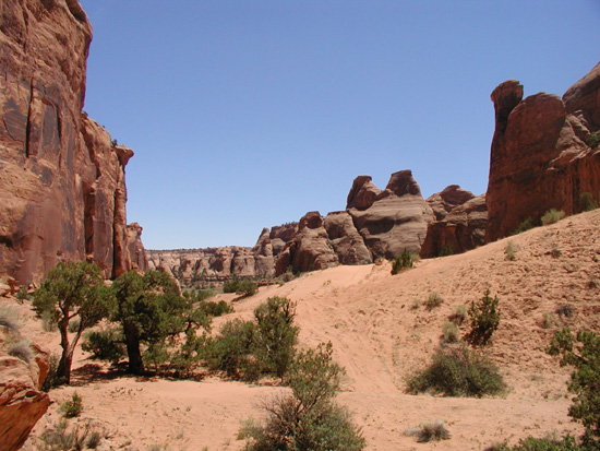 Bull Canyon Trail Moab UT