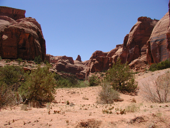 Day Canyon Near Bull Canyon Moab UT