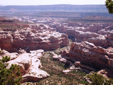 Lavender Canyon