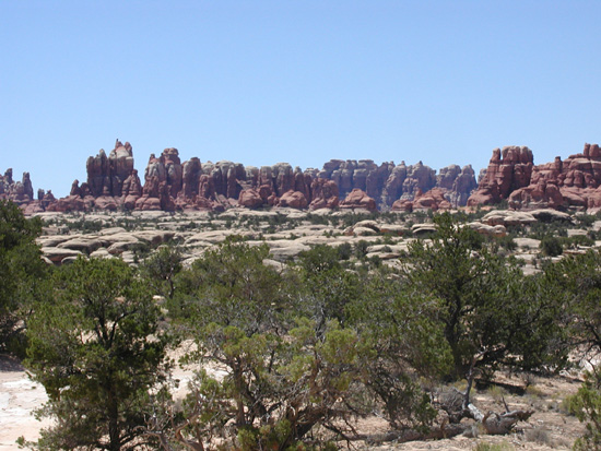 Elephant Hill Trail