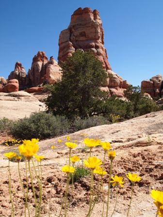 Canyonlands National Park dual sport