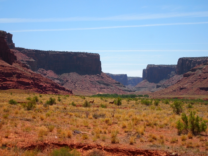 Cane Creek Moab