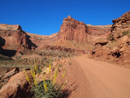 Potash Road ATV trails