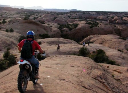 shrimp Rock moab