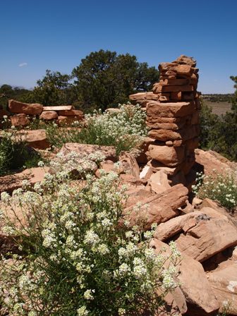 Abajo Mountains ATV trails