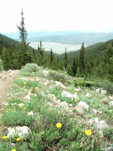 Cross Mountain Colorado Jeep Road