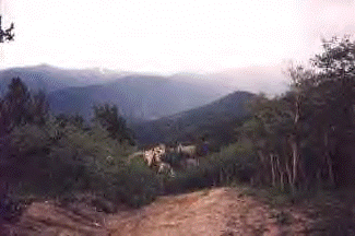 Colorado ATV trails