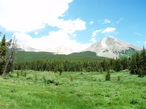 Collegiate Peaks Wilderness