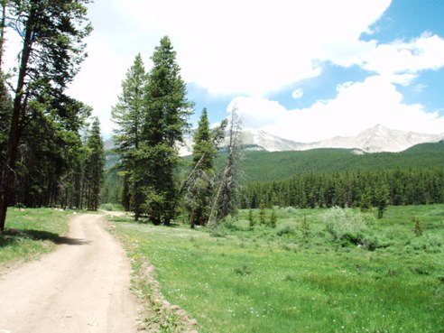 Pieplant Trail, Taylor Park Colorado