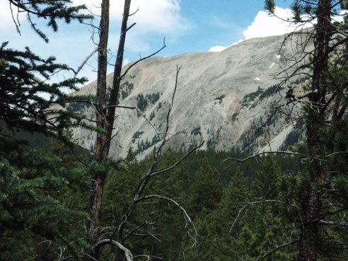 RZR trails at Taylor Lake Colorado