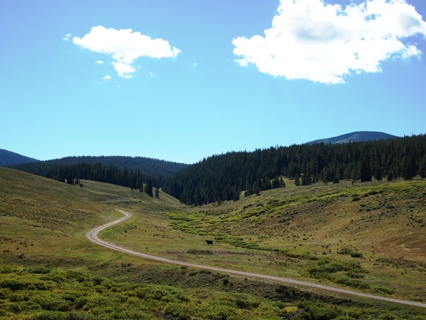 Open Range land along Reno Ridge Trail