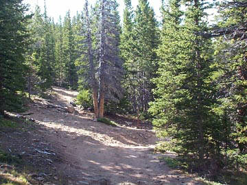 Colorado ATV Trails