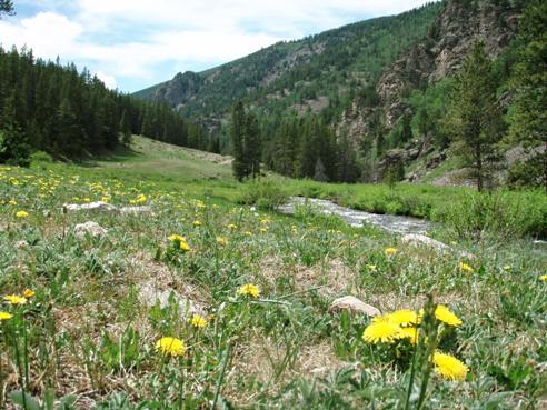 Union Canyon UTV and SxS trail Colorado