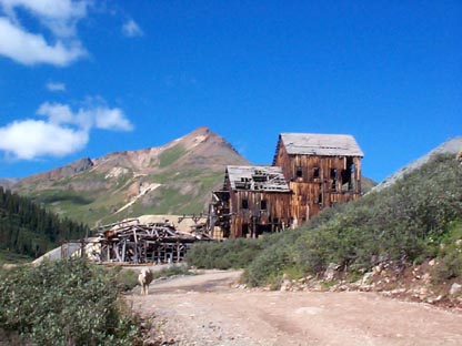 Animal Forks Colorado