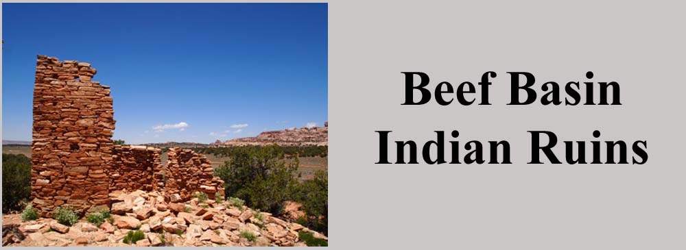 Beef Basin Indian Ruins and UTV Trails